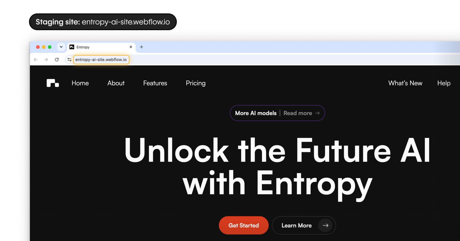 Entropy homepage on its staging site, with entropy-ai-site.webflow.io highlighted in the browser’s address bar.