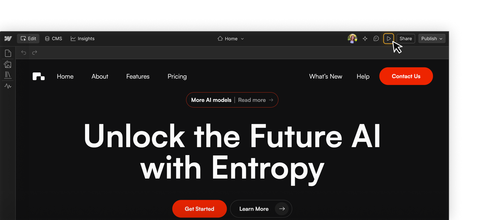 Entropy homepage open in Webflow with the Preview button highlighted in the top toolbar.