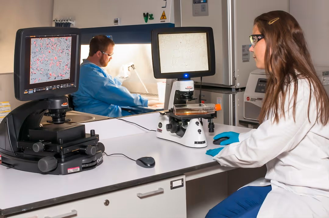 image of researchers at desks