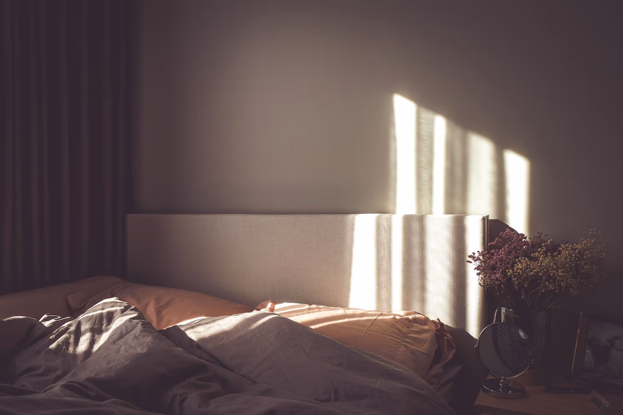 picture of shadows on a wall through blinds