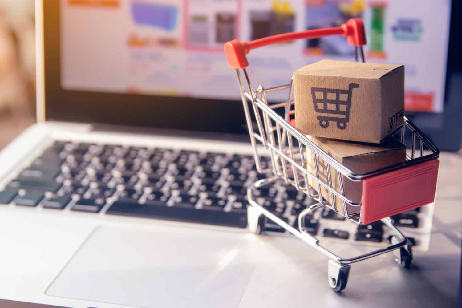 What Are the Differences Between eCommerce Loans and Other Small Business Loans?