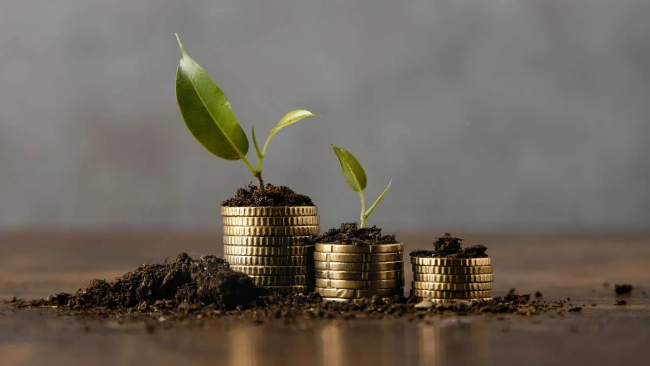 What eCom Owners Should be Watching in the Market While Raising Capital