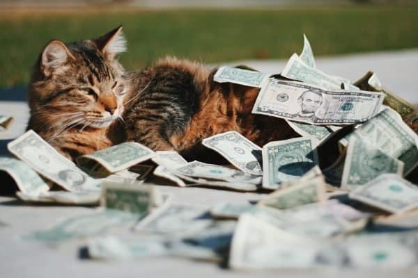 qué publicar en Instagram