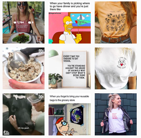 La estrategia de contenido en redes sociales de Wholesome Culture incluye frases motivadoras, imágenes de animales, recetas veganas y consejos para aquellos interesados en adoptar un estilo de vida vegano y ecológico.