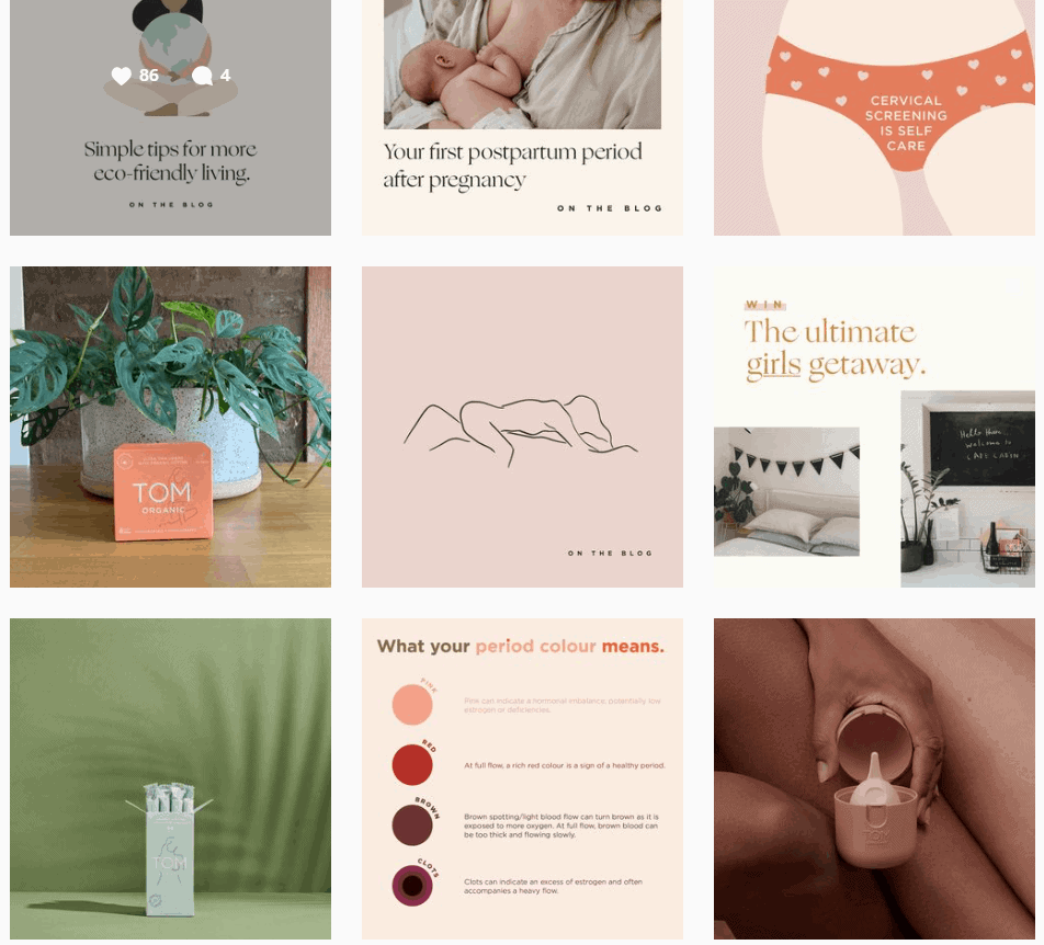 La paleta de colores a juego en el feed de Instagram de TOM Organic