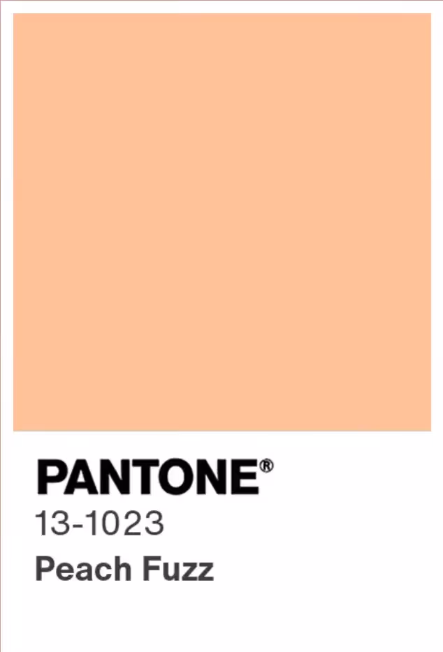 Pantone 13-1023 Peach Fuzz color swatch, a soft, warm peach shade featured as a color trend.