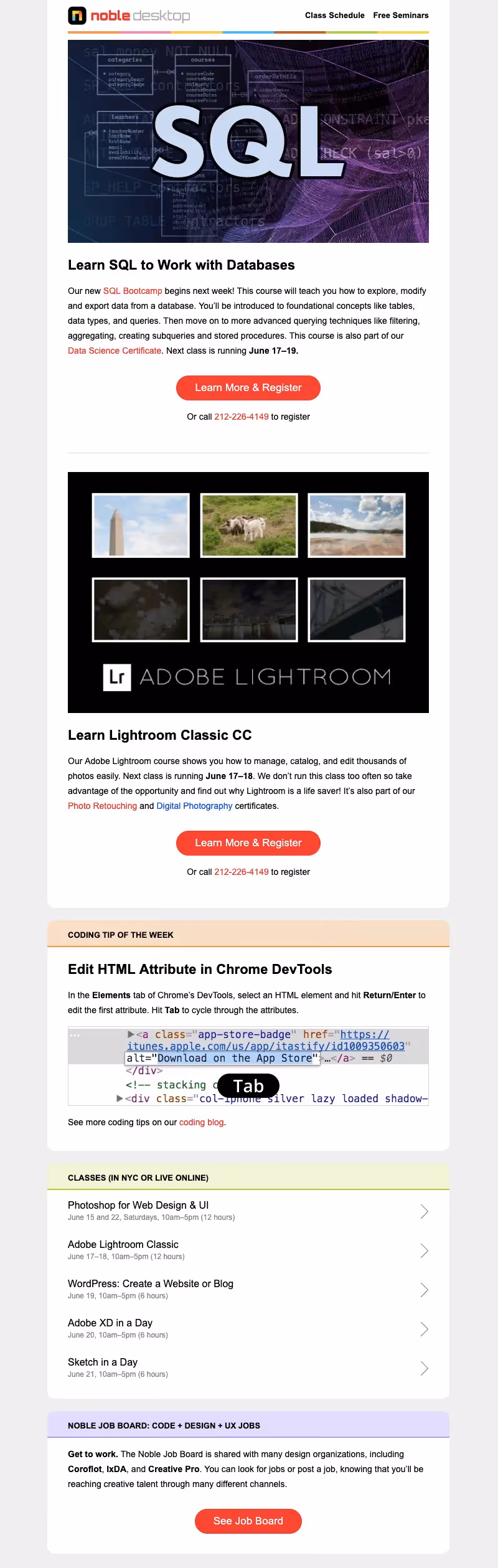 noble desktop fun employee newsletter ideas