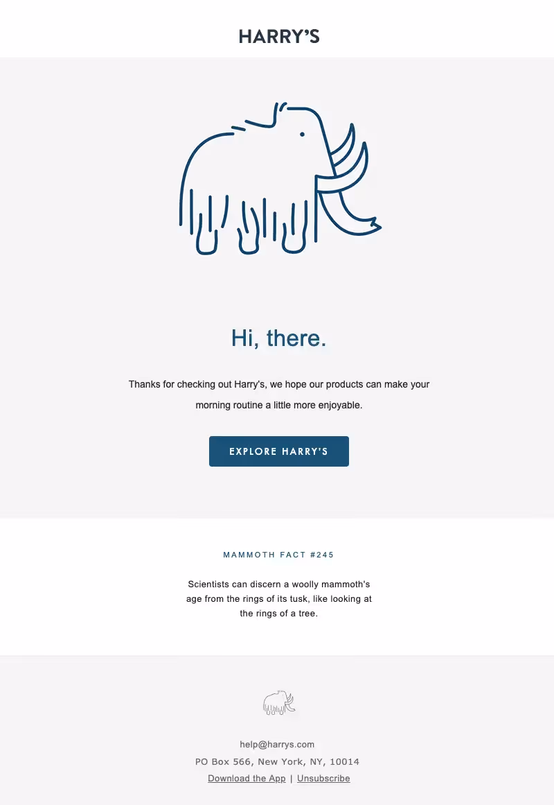 harry's welcome email series best practices