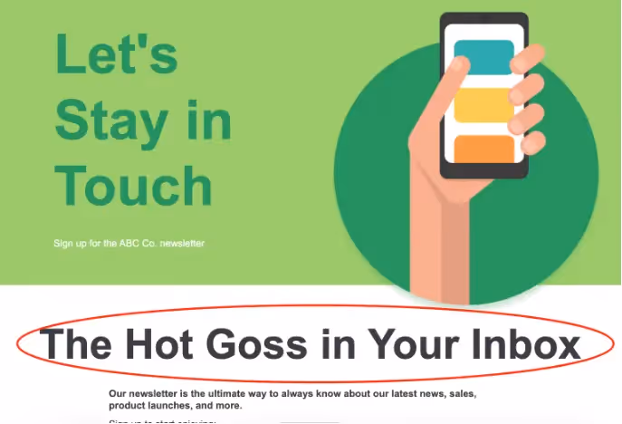 ABC Co. newsletter landing page examples