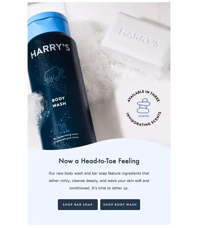 Harry's fall email campaign
