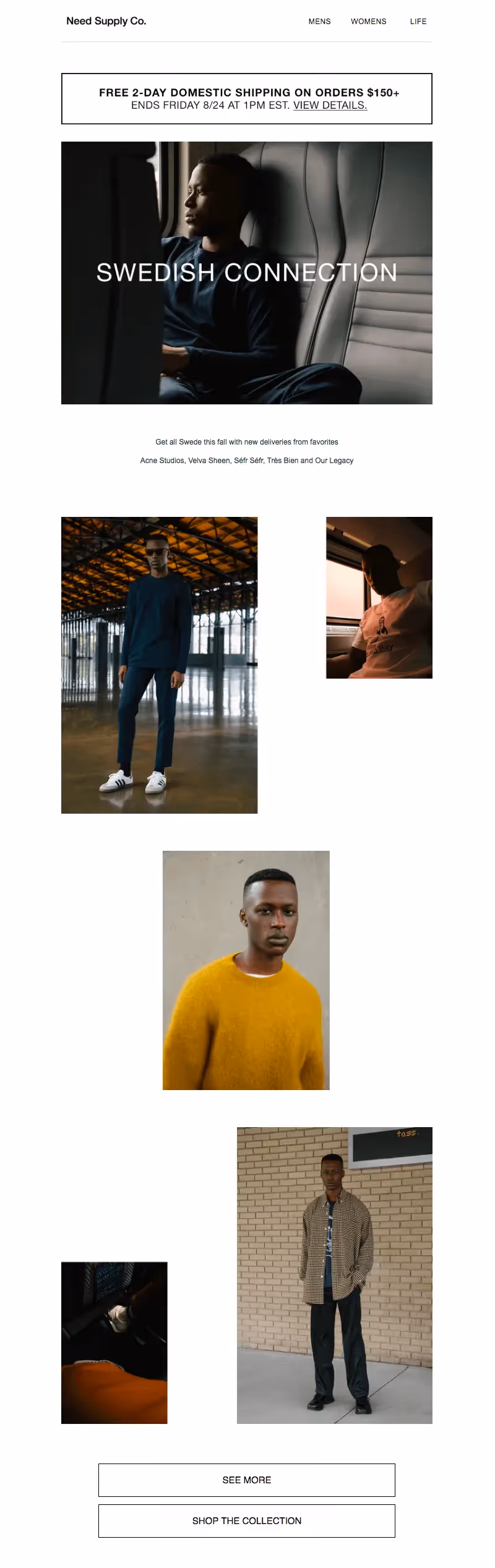 Need Supply Co. fall email campaign
