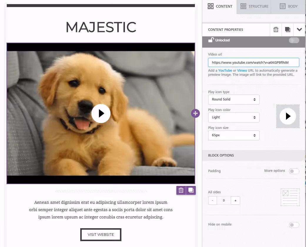 Golden retriever puppy video embed with customization options for play icon type, color, and size.