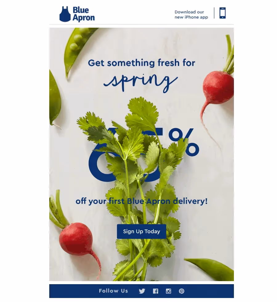Blue Apron food industry email design 