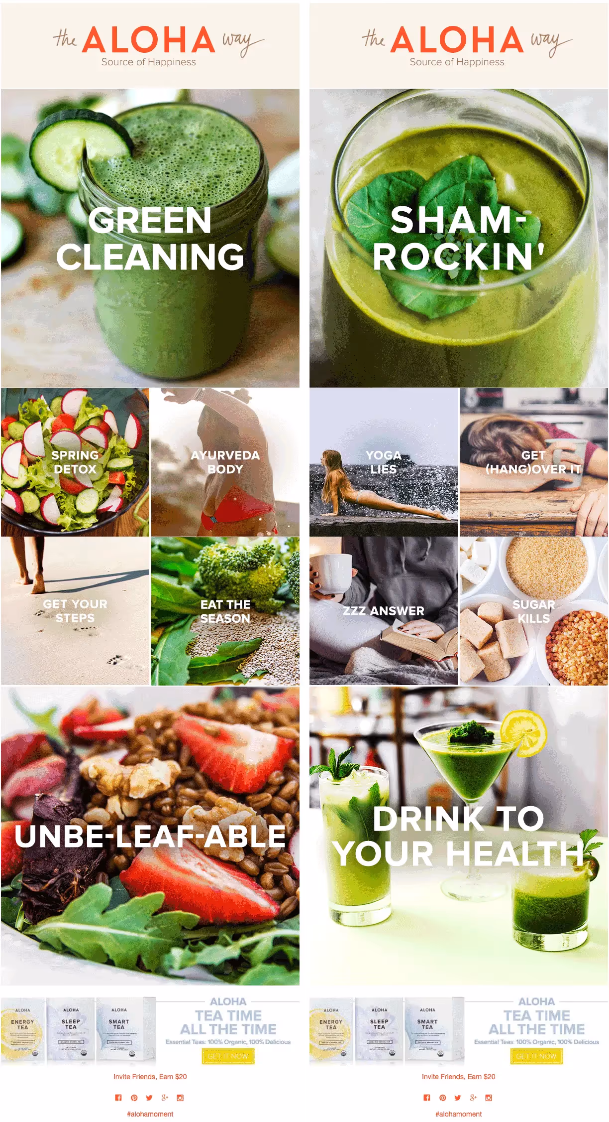 aloha email newsletter templates