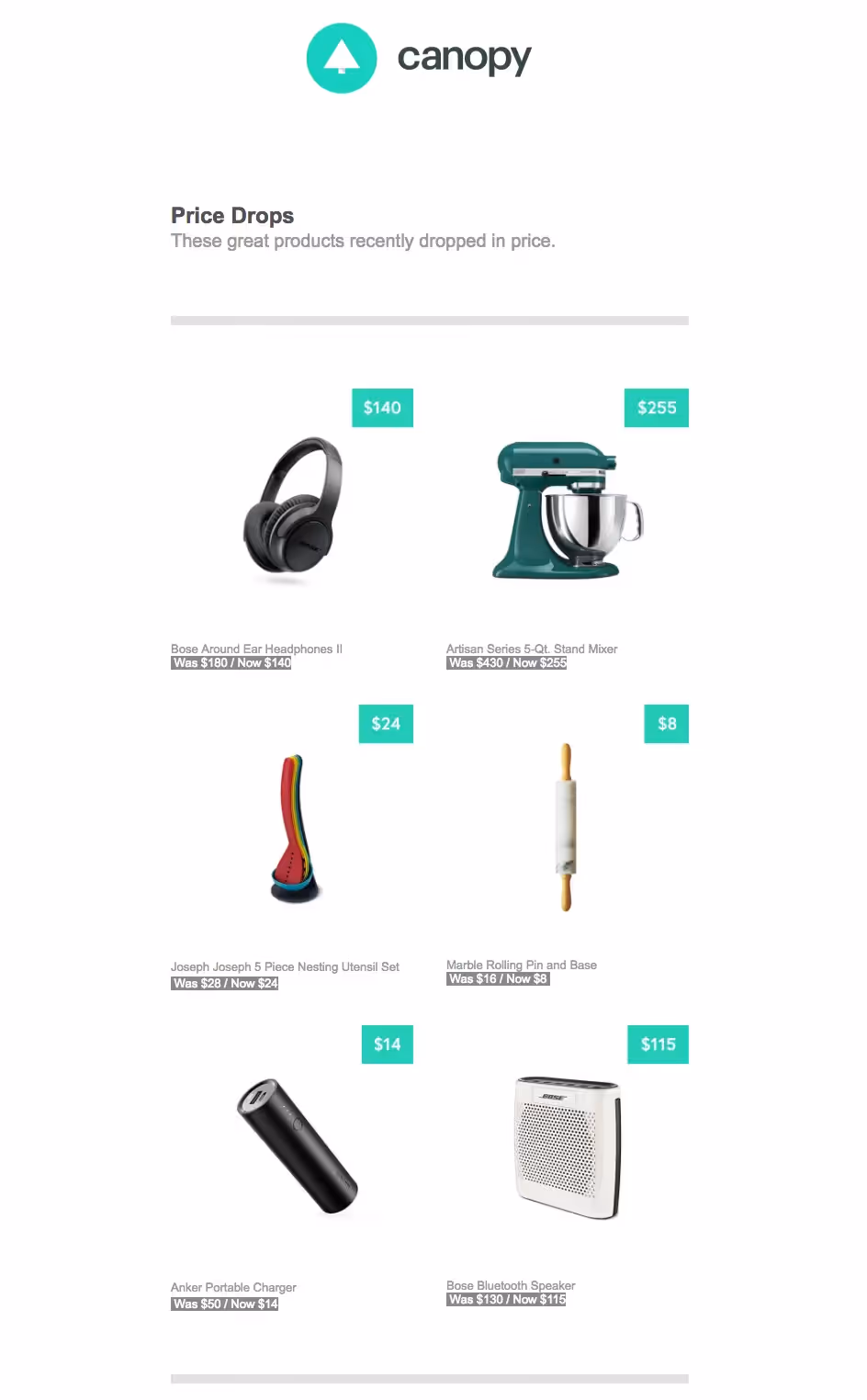canopy-use Simple Email Design