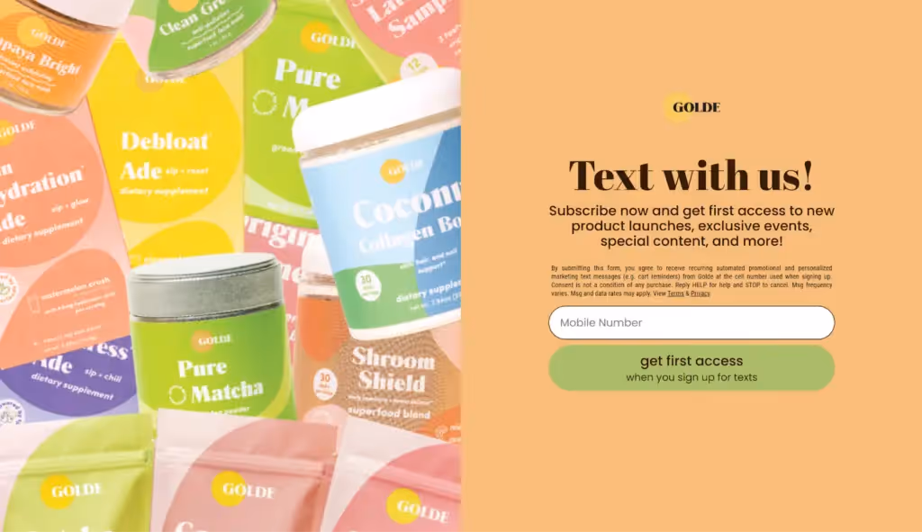 landing page example