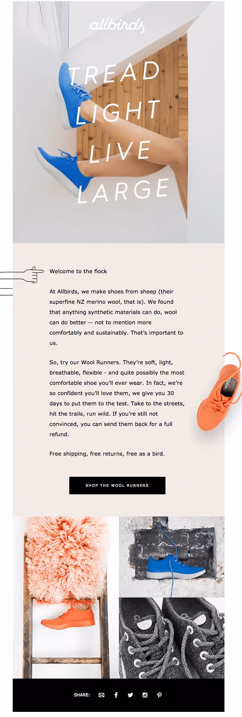 allbirds welcome email design tips