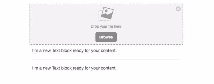 BEE Pro responsive email templates