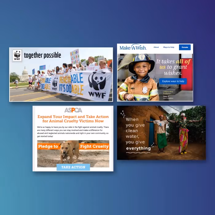 Collage of nonprofit email newsletter designs from WWF, ASPCA, Make-A-Wish, and charity: water, highlighting impactful visuals and strong calls-to-action.