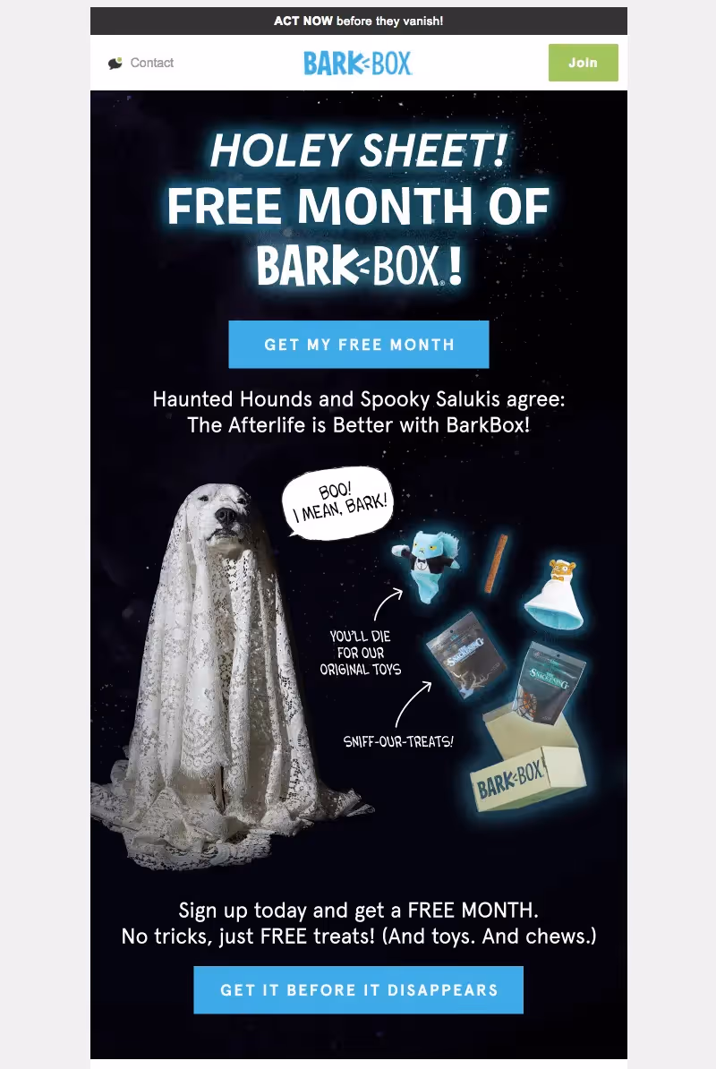 Halloween email design