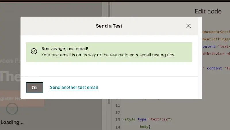 mailchimp test email