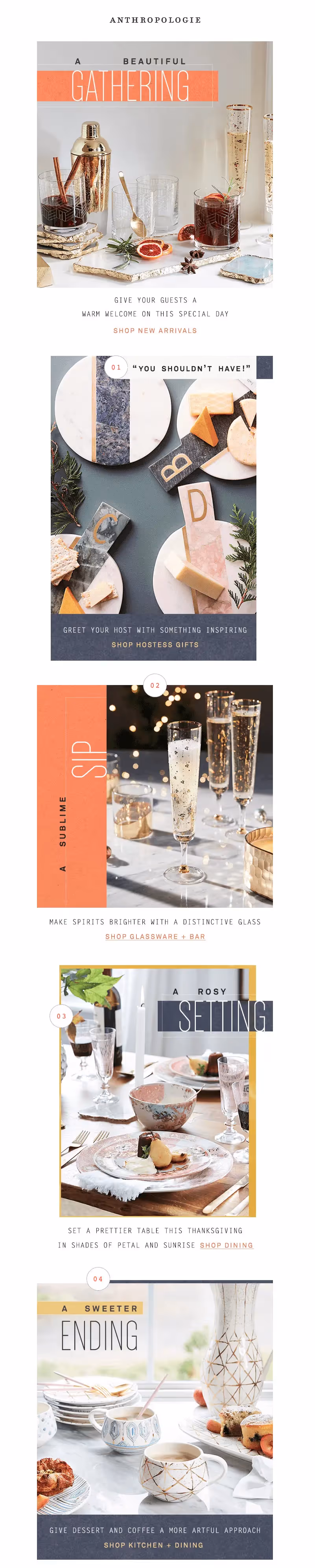 Anthropologie Thanksgiving email design