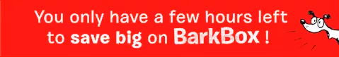 barkbox discount email design header