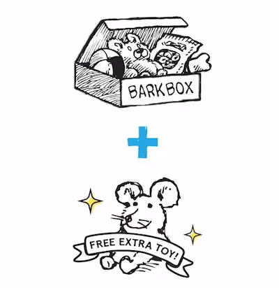 barbox illustration discount email design