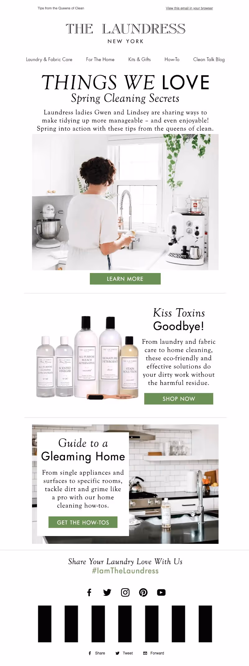 The Laundres spring cleaning emails
