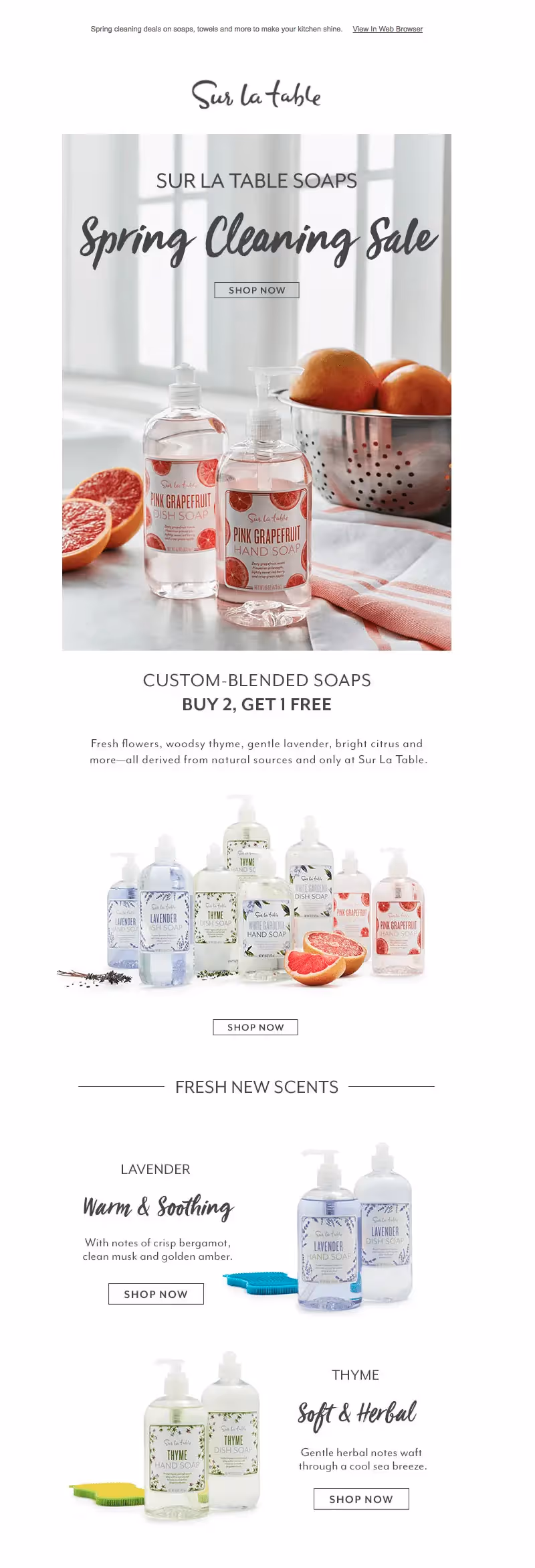 Sur La Table spring cleaning emails