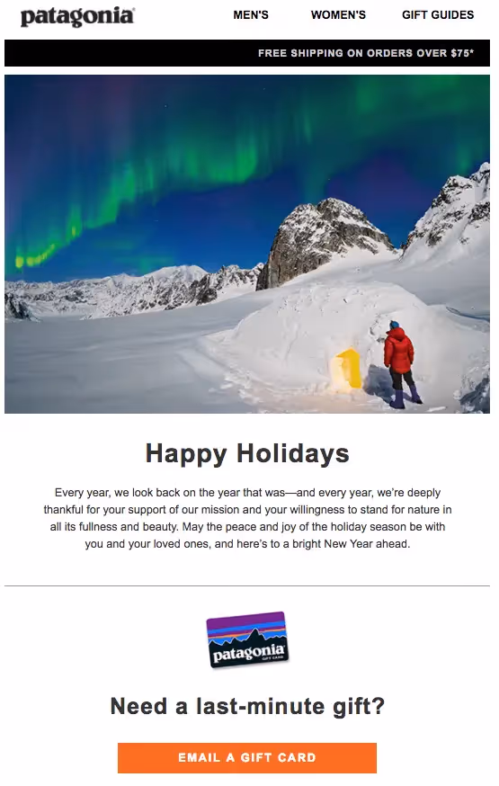 patagonia holiday e-Card for clients