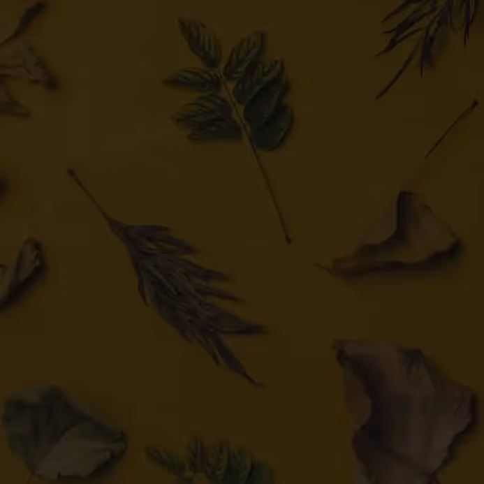 Dark Halloween email header: full moon, bats flying, tombstones silhouette and a fence against a spooky night sky.