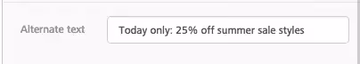 BEE Pro alt text using stock images in emails