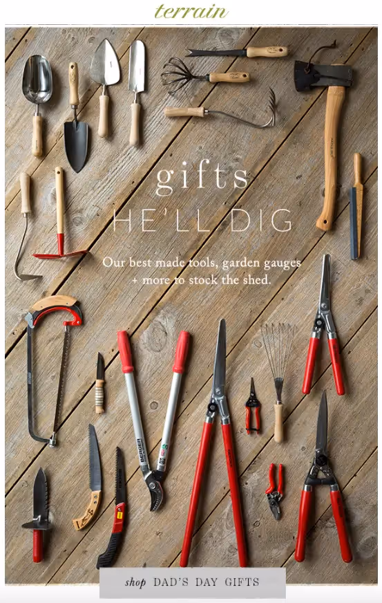 terrain father's day emails