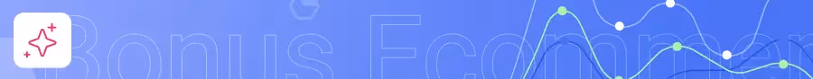 Bonus E-Commerce Statistics
