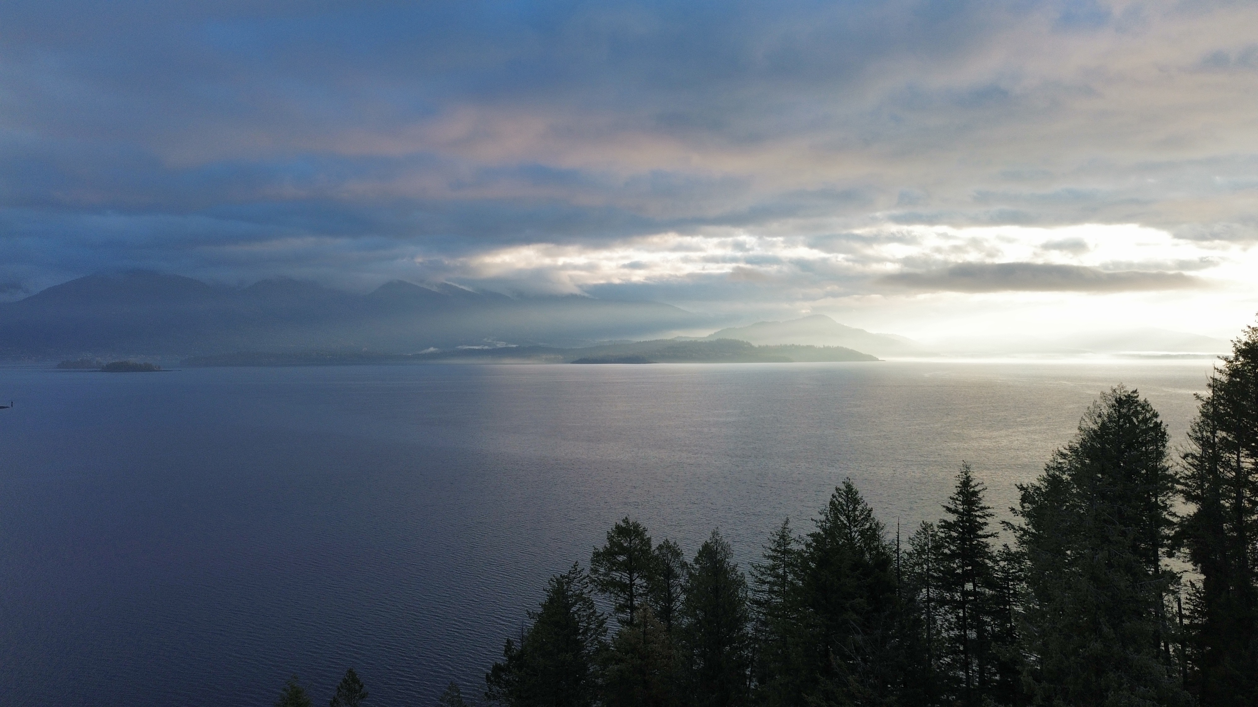 A CAT excavator on a dirt road among pine trees with the back facing us, and a black Ela Construction Logo on it. 