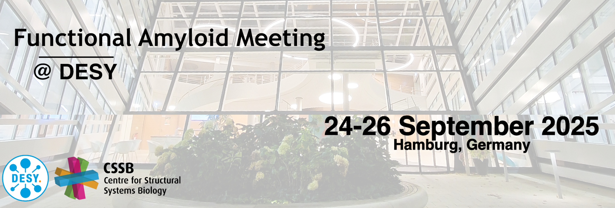 Functional Amyloid Meeting @DESY
