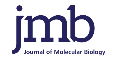Rabies Virus Phosphoprotein Exhibits Thermoresponsive Phase Separation with a Lower Critical Solution Temperature