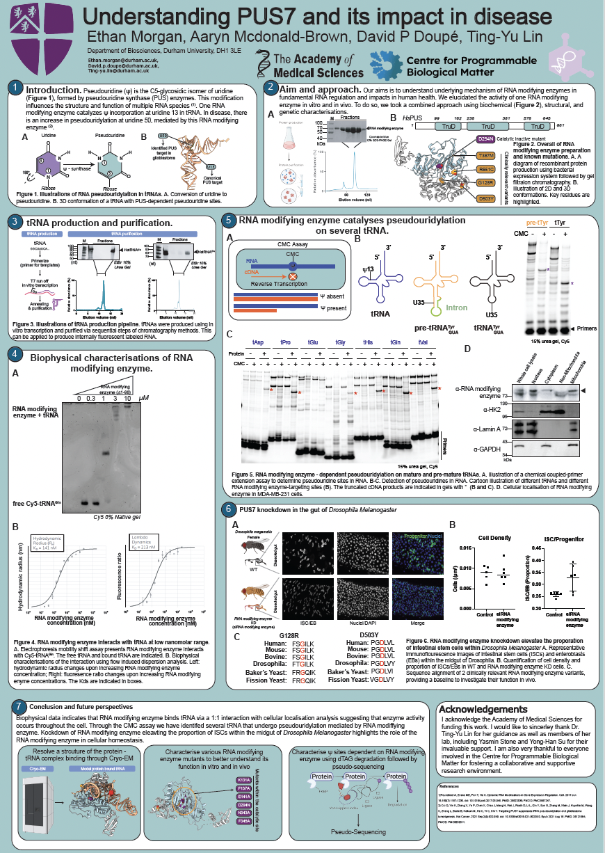 Understanding PUS7 and its impact in disease