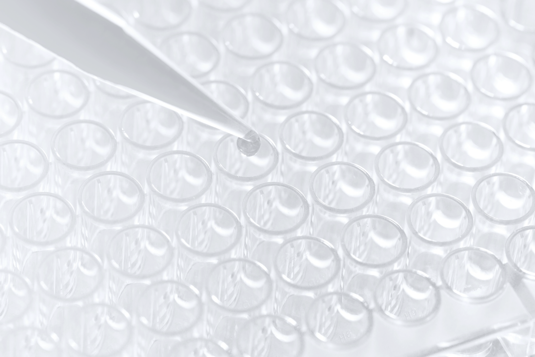Label-free biophysical assays using nanoliter sample volumes