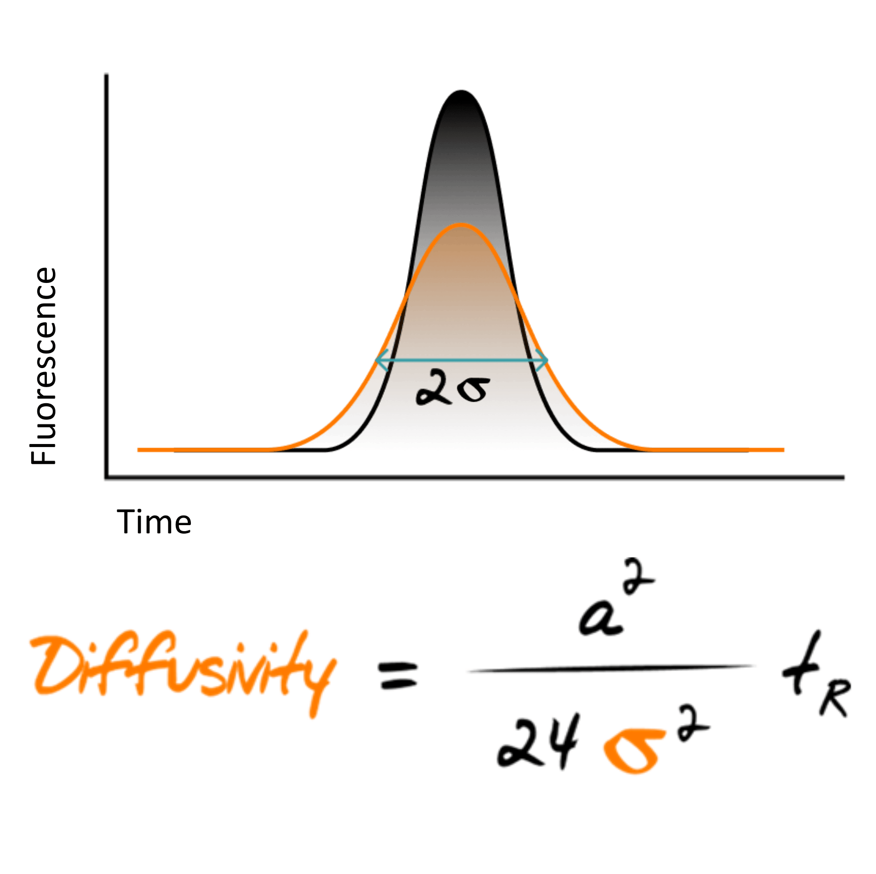 The Taylor equation and the Stokes-Einstein correlation shown together, with the Boltzmann coefficient, temperature, diffusivity and sample viscosity labelled.