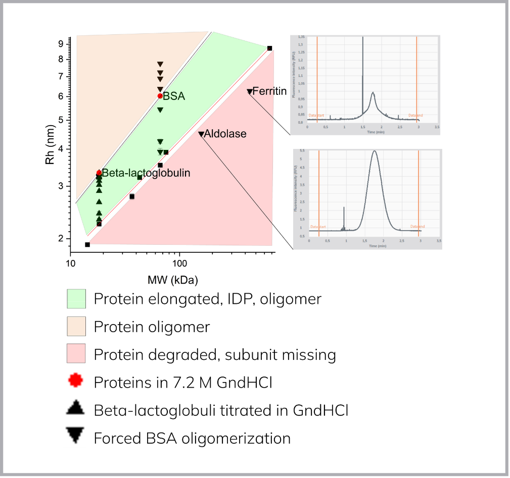 Plot of hydrodynamic radius against molecular weight showing the globular protein line, with quality control zones above it for oligomers and for elongated or disordered proteins, and below it for degraded proteins.