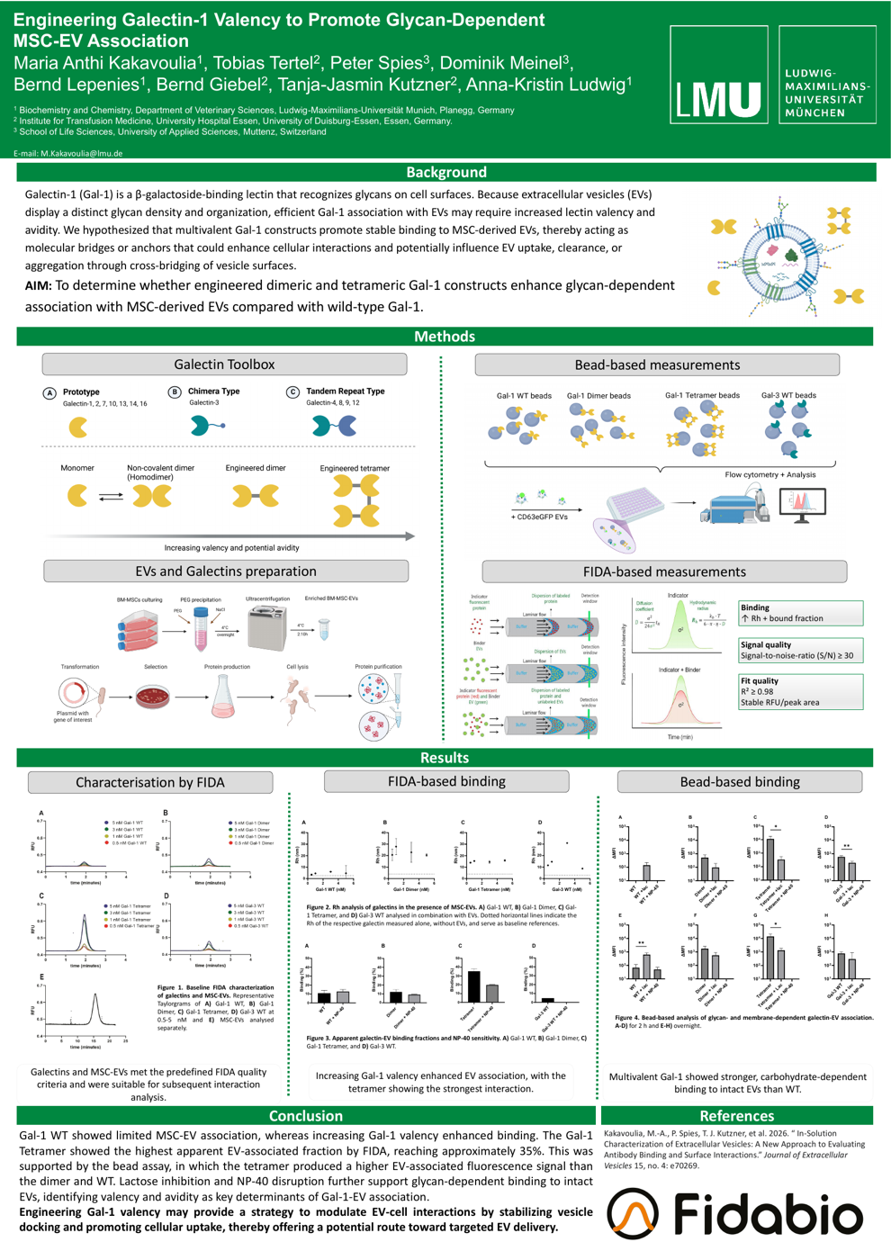 Engineering Galectin-1 Valency to Promote Glycan-Dependent MSC-EV Association