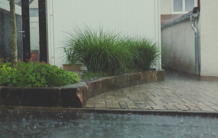 Corpus Christi Floods