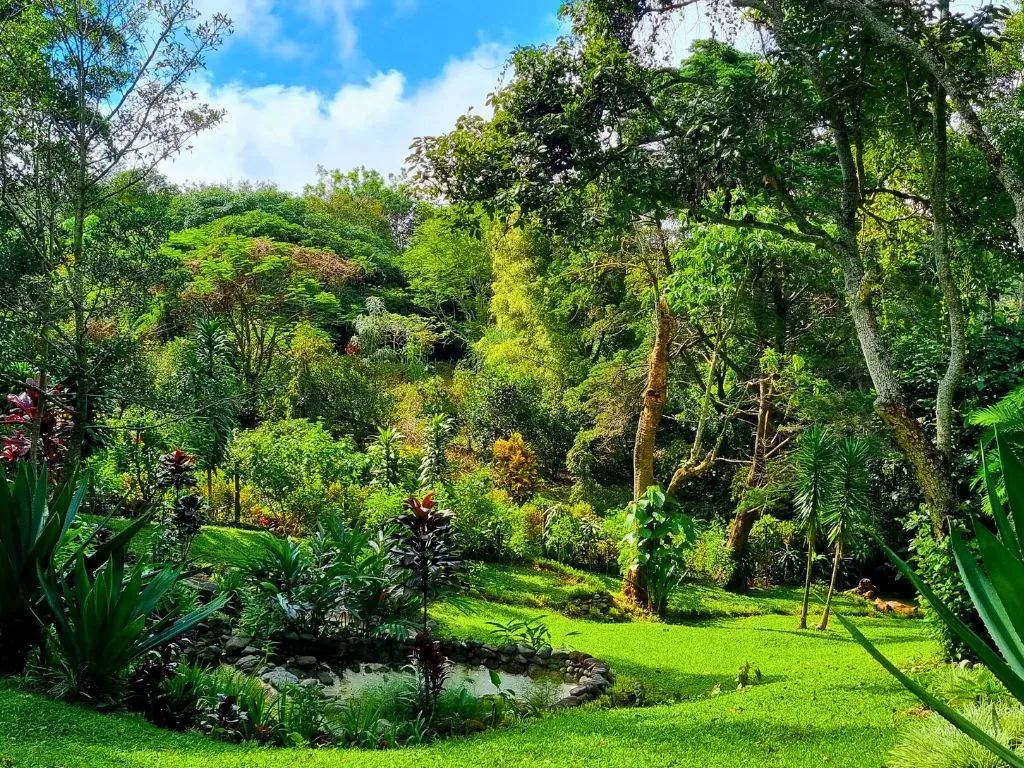 Serenity Vista grounds surrounded by lush tropical gardens in Boquete, Panama.