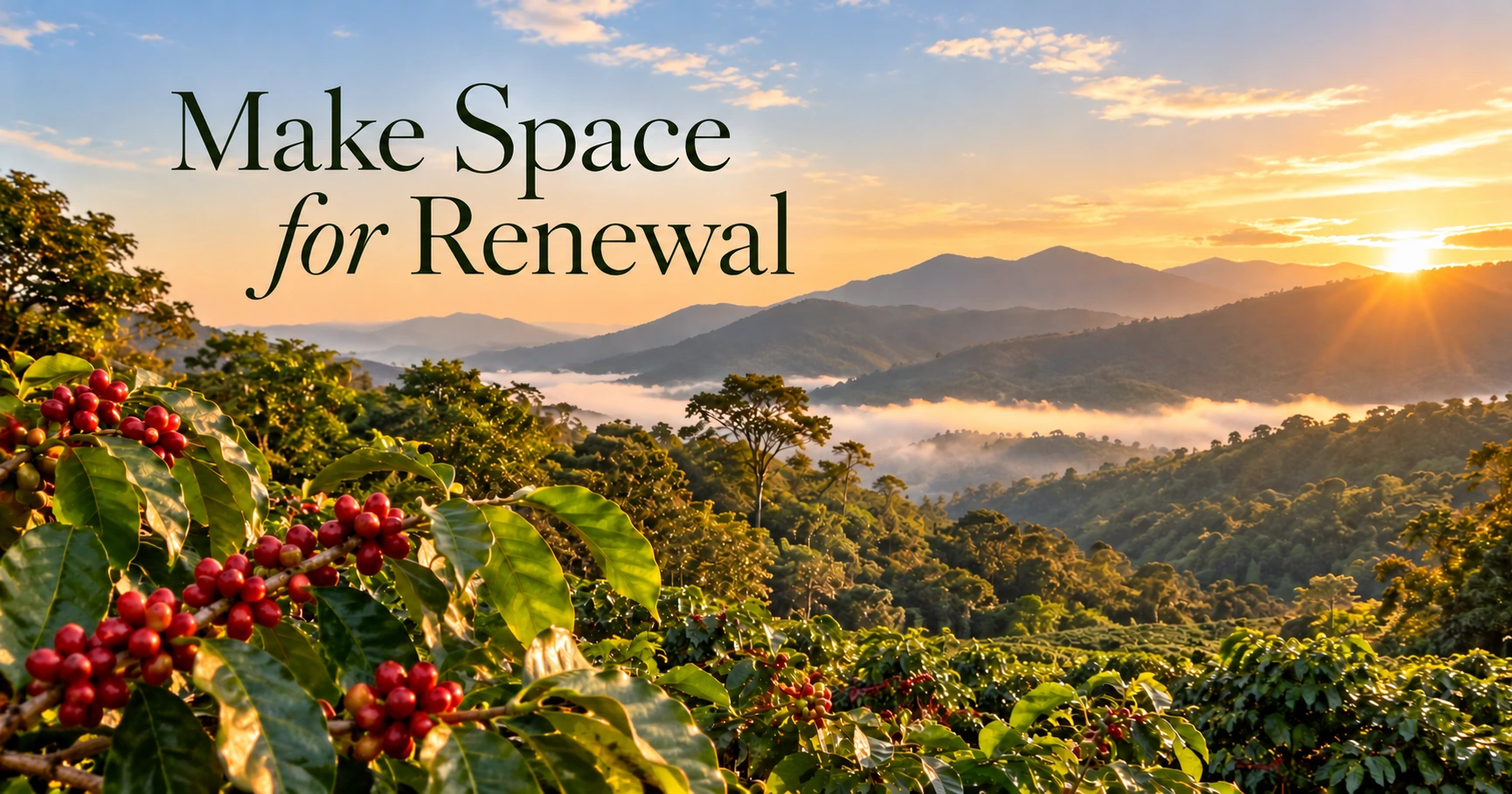 Sunrise over the lush green mountains and coffee plantations of Boquete, Panama, with ripe red coffee cherries and the words “Make Space for Renewal.”
