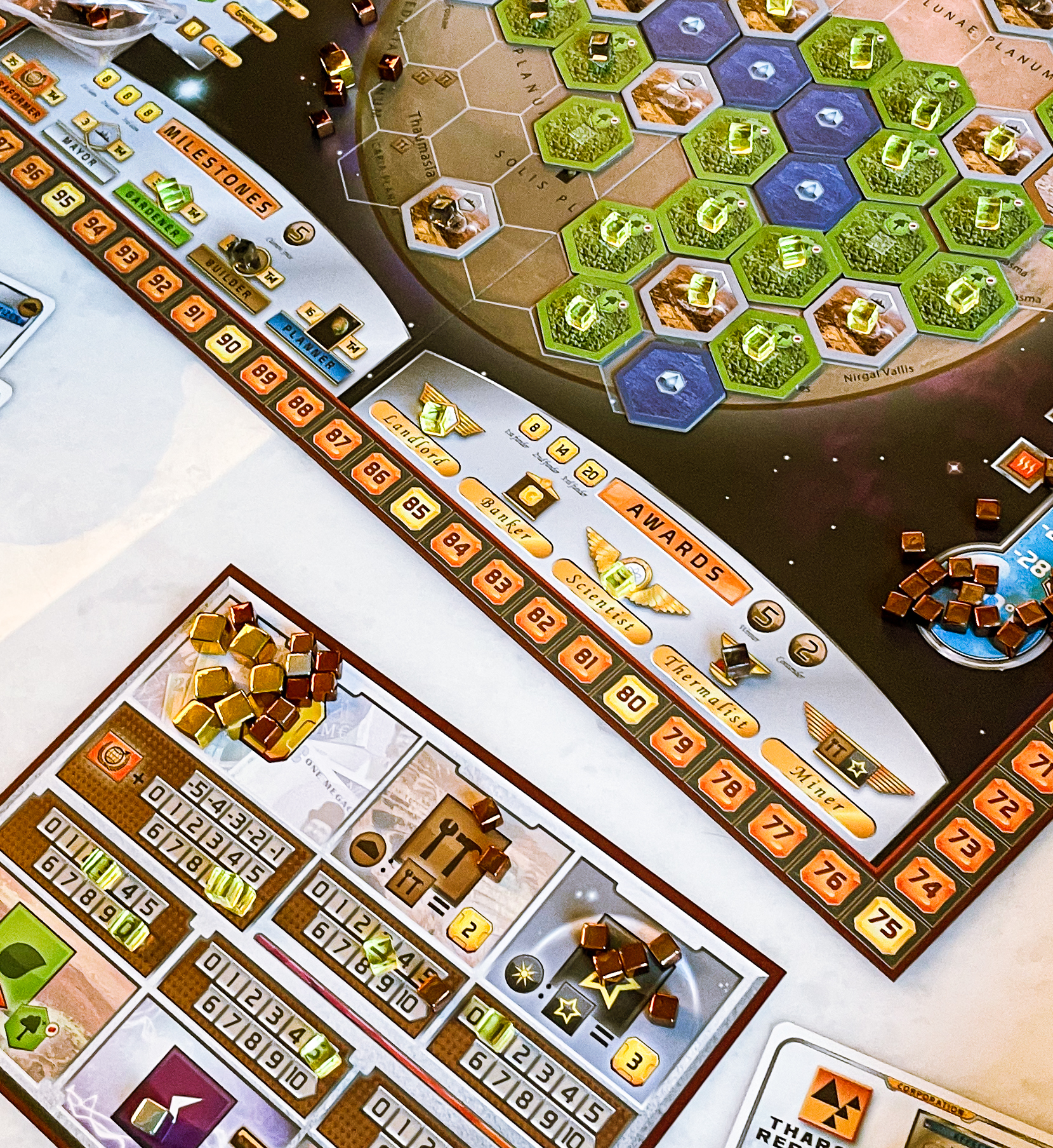 Photo - Boardgame Lover