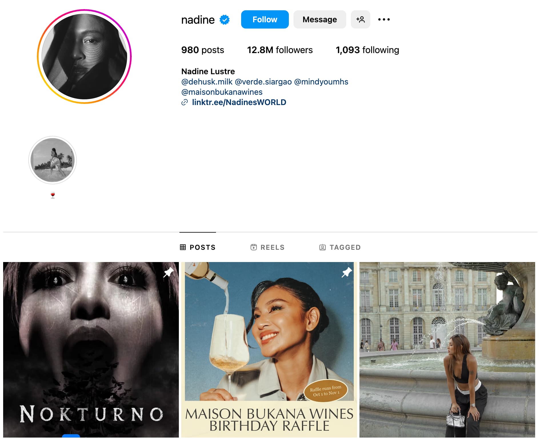 <img src="Top-20-Philipino-Instagram-Influencers-Overview-Nadine" alt="Nadine Overview">
