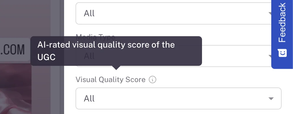 Influencer Hero UGC Visual Quality Score