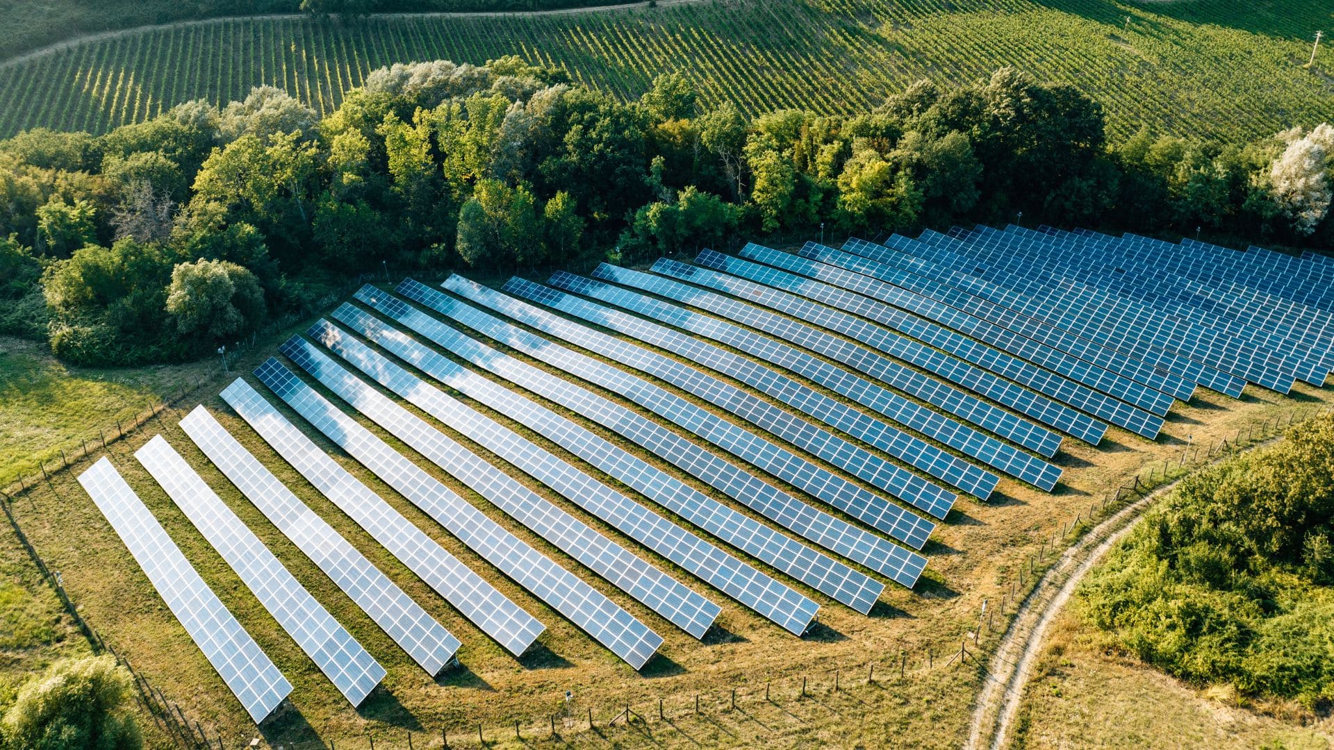 Agrivoltaïsme piloté en 2025 : pratiques, réglementation, rendement culture + solaire et subvention agrivoltaïque